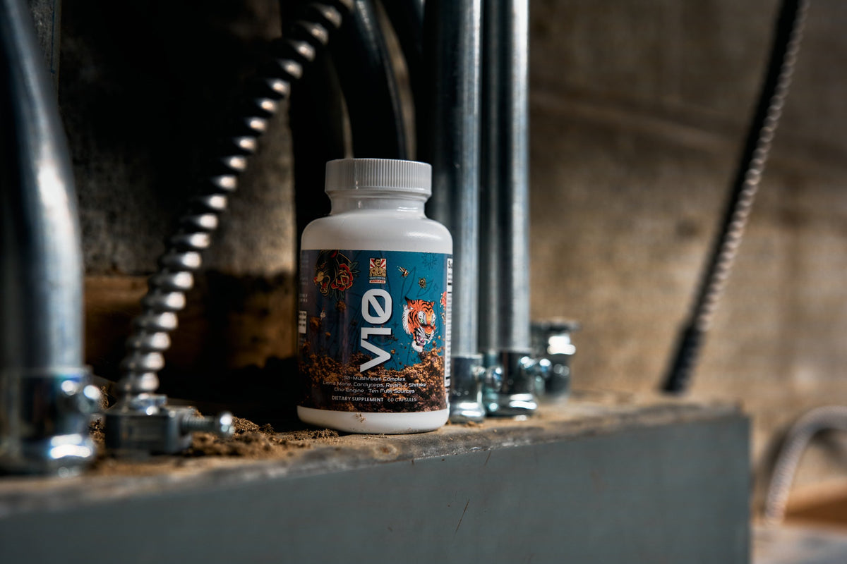 Ohio River Muscle Co. V10 10-mushroom complex between steel conduit