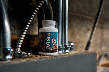Ohio River Muscle Co. V10 10-mushroom complex between steel conduit